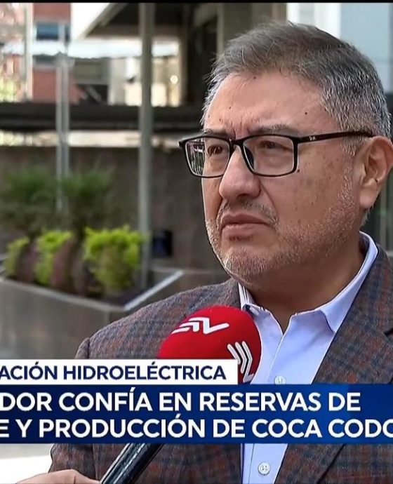 Ing. Carlos Romero: fortalecer la generación eléctrica es clave para Ecuador